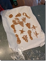 PXL_20201224_195447288