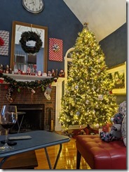 PXL_20201224_234805383