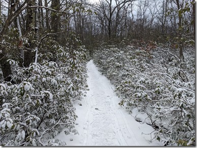 PXL_20210117_161350994