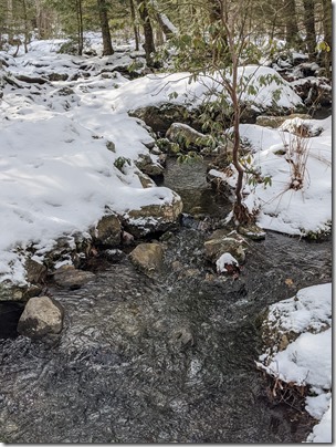 PXL_20210117_162752979.PORTRAIT