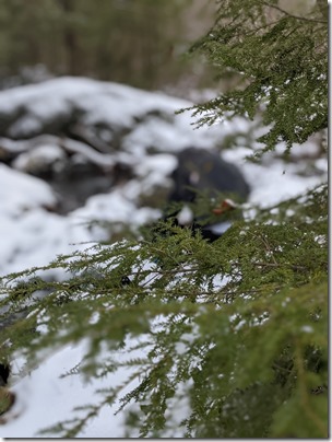 PXL_20210117_162827383.PORTRAIT