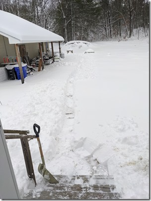 IMG_20210202_075106_01