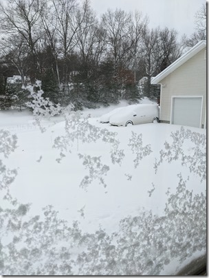 PXL_20210202_140555482