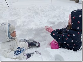 PXL_20210202_144248163