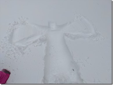 PXL_20210202_144521492