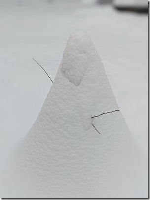 PXL_20210207_215959602.PORTRAIT