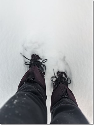 PXL_20210207_220014993.PORTRAIT