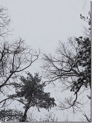 PXL_20210207_220105942.PORTRAIT