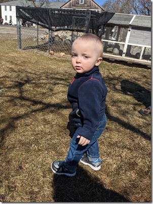 PXL_20210320_162514642