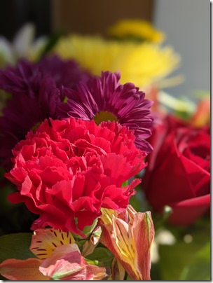 PXL_20210404_140843751.PORTRAIT