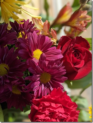 PXL_20210404_140849899.PORTRAIT