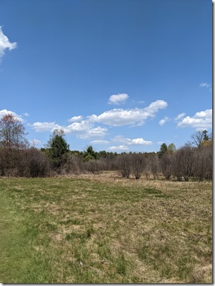 PXL_20210424_172110313