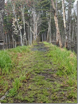 PXL_20210425_164004743.PORTRAIT