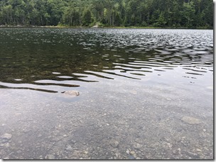 PXL_20210717_181452402