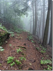 PXL_20210717_205612085