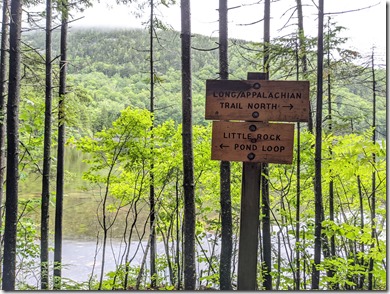 PXL_20210718_125121045