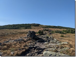 PXL_20210814_203525068