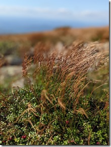 PXL_20210814_205706228.PORTRAIT