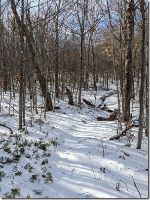 PXL_20211120_153816761