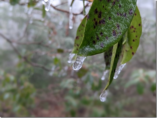 PXL_20211218_193802875.PORTRAIT