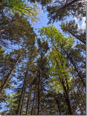 PXL_20210925_175325999