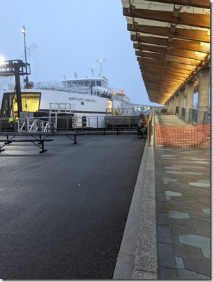 PXL_20220318_104501447